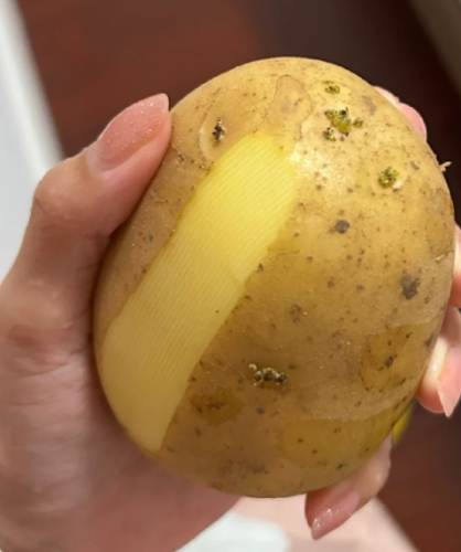 馬鈴薯保存方法