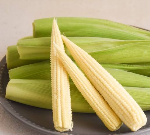 玉米筍營養