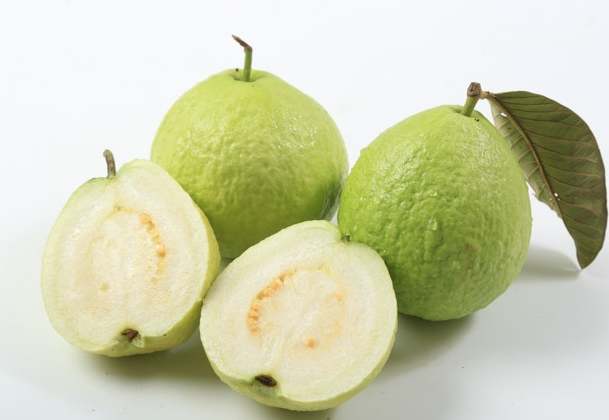 芭樂纖維素攝取