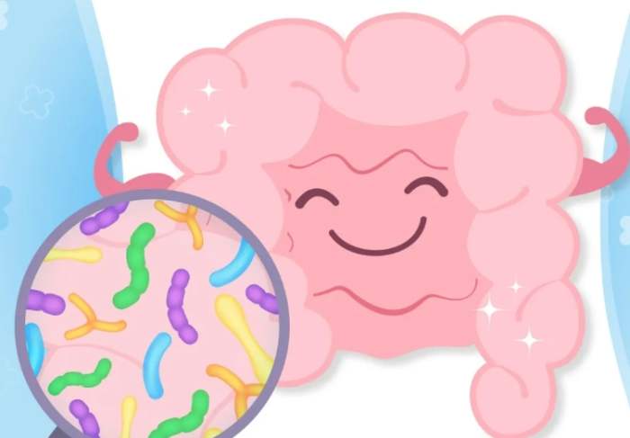 益生菌對胃的好處
