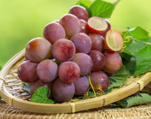 提子纖維食用方法