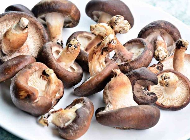 預防香菇脹氣
