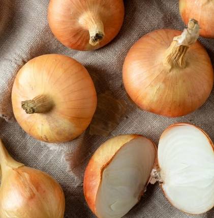 洋蔥保存