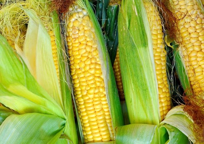 玉米處理方法