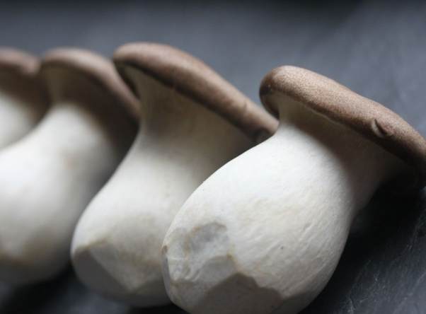 杏鮑菇保存方法