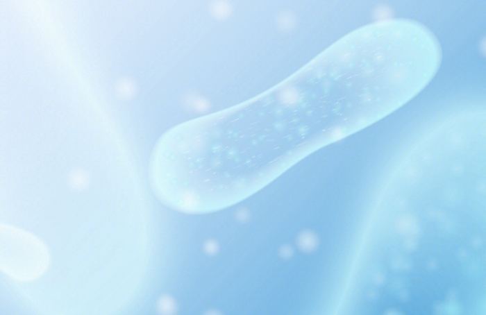 胃部益生菌推薦