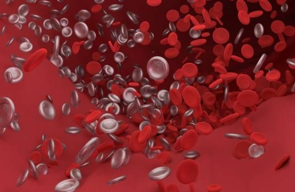 缺紅血球飲食