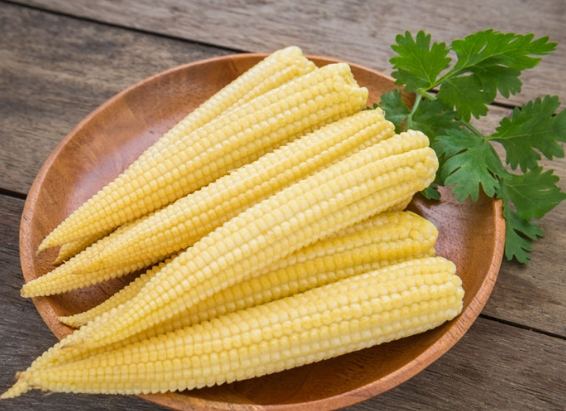 玉米筍營養