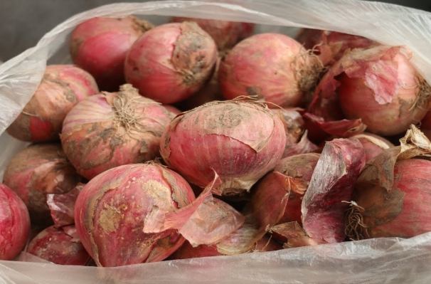 洋蔥保存方法