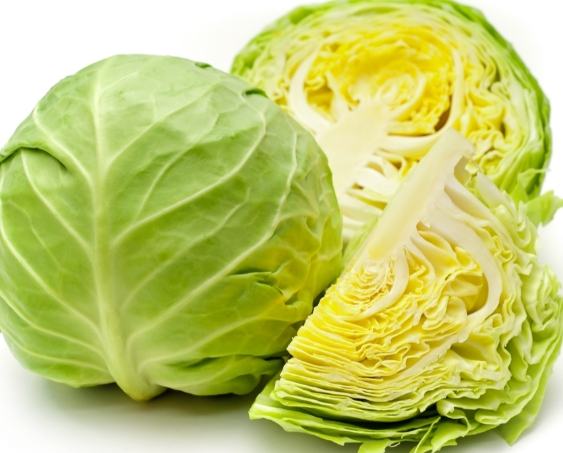 美生菜高麗菜比較