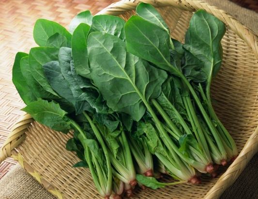 低草酸蔬菜清单