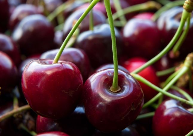 貧血吃什麼水果