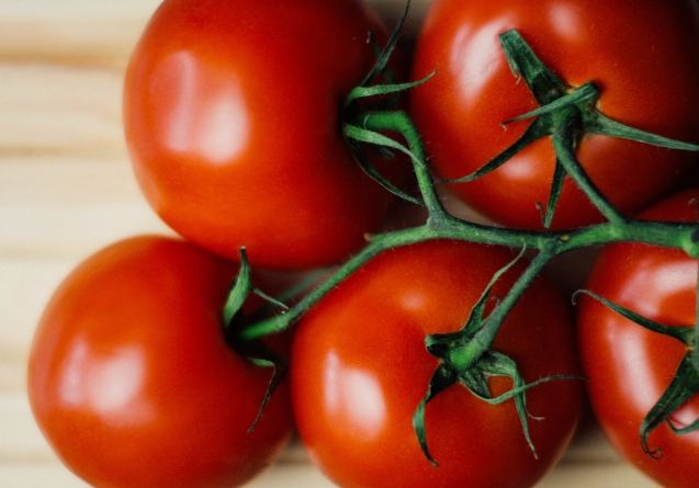 番茄屬於水果還是蔬菜