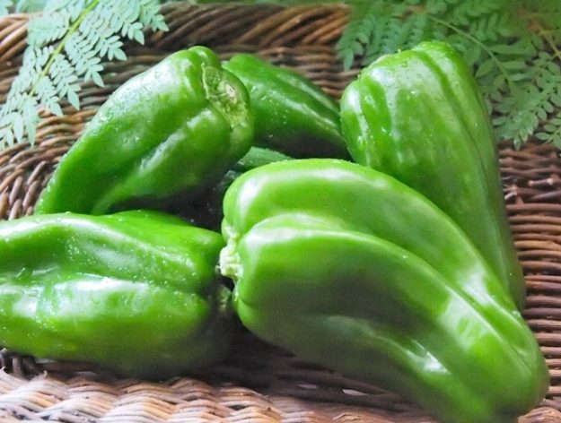 甜椒分類
