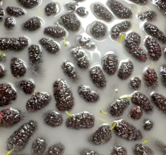 小蘇打清洗水果