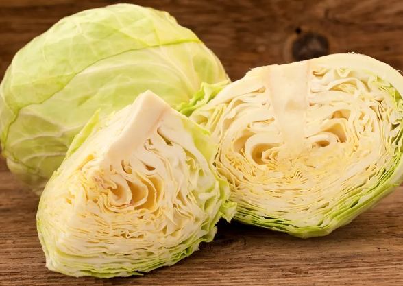 高麗菜營養價值