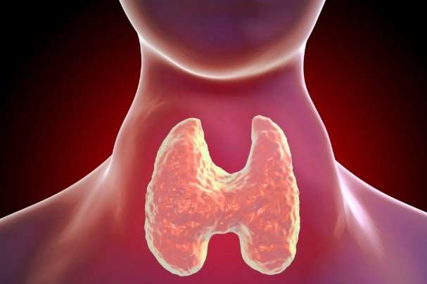 甲狀腺低下 魚油