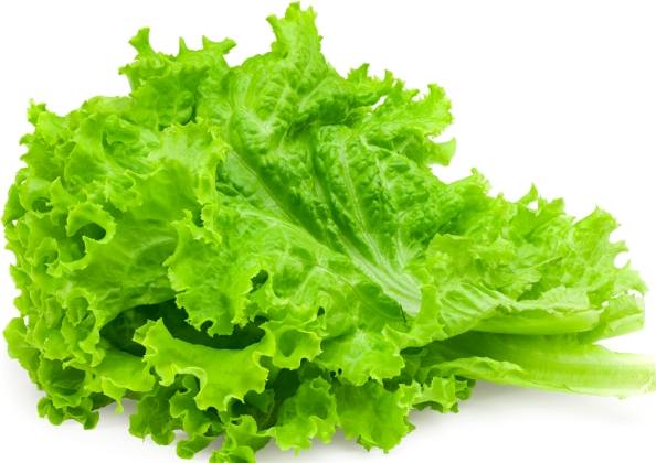 生菜沙拉食材