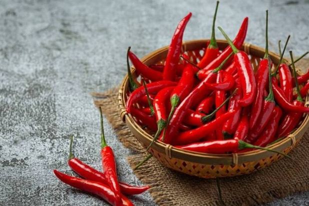 甲狀腺亢進禁忌食物