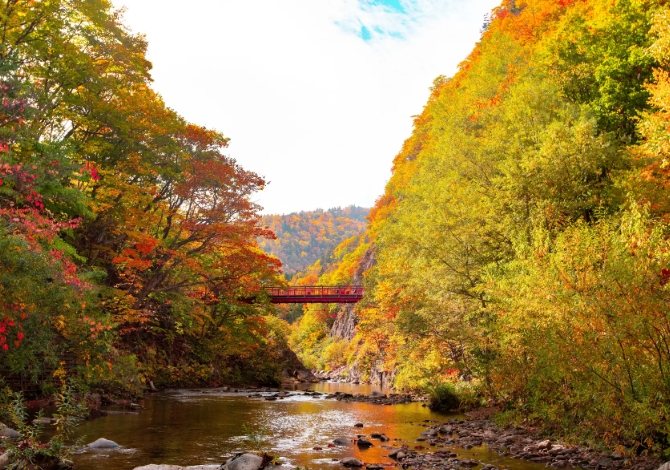 定山溪楓葉