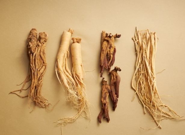 人蔘什麼時候吃