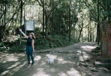 雞籠山大凍山登山