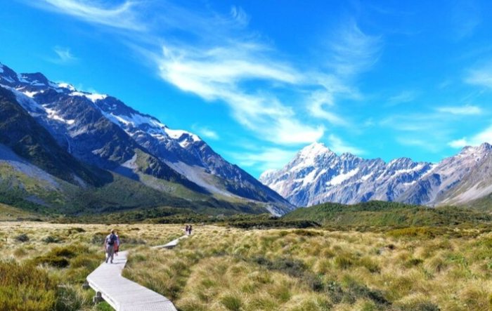 不開車遊紐西蘭