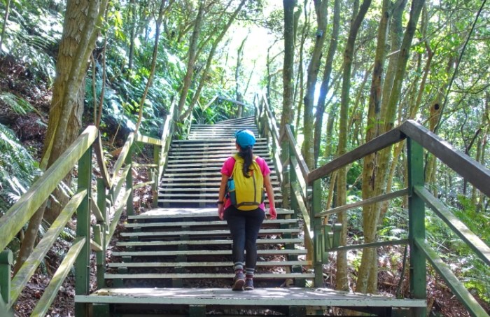 溪頭環狀步道交通