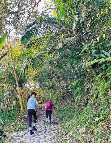 台南大凍山天氣
