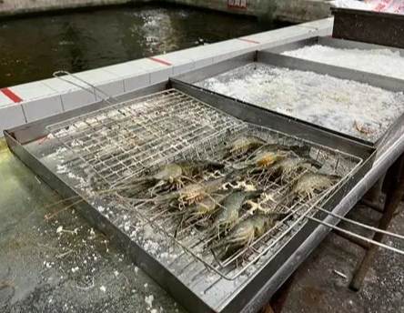 台北24小時餐廳