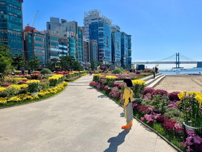 海雲台到廣安里交通