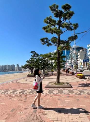 海雲台到廣安里交通