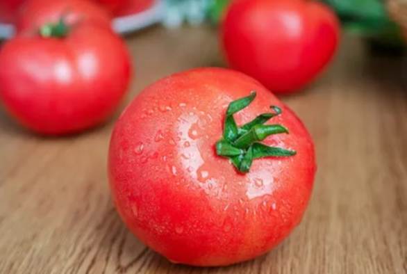 番茄冷凍期限