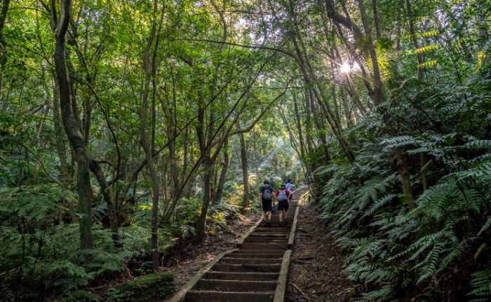 碧溪步道交通方式