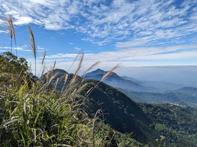 台南大凍山天氣
