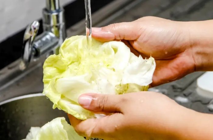 高麗菜清洗方法