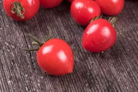 番茄冷凍保存時間