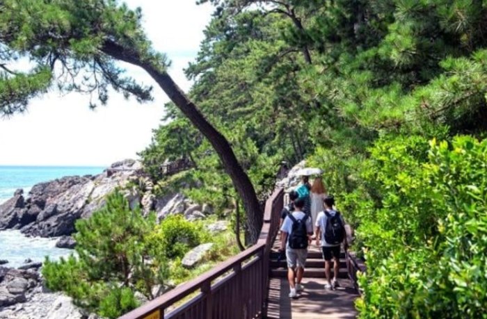 海雲台旅遊攻略