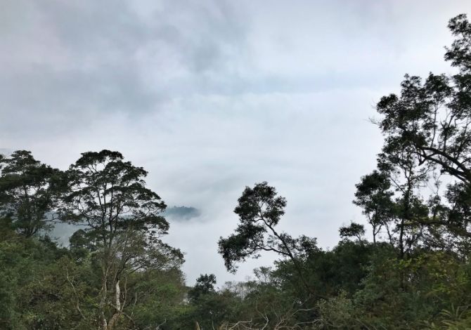 大凍山氣候預報