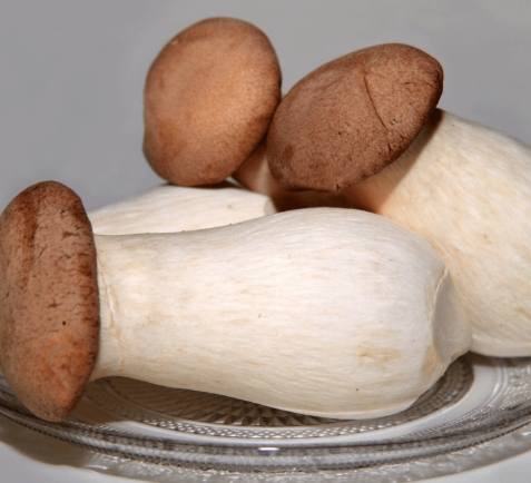 冷凍杏鮑菇方法