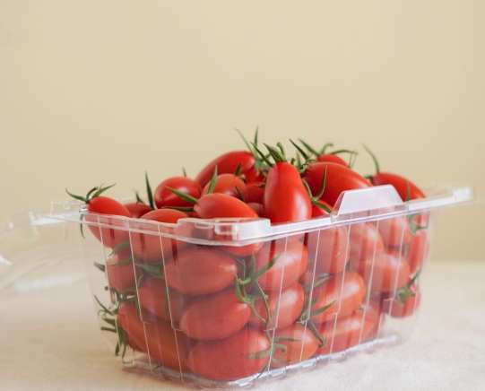 番茄如何冷藏