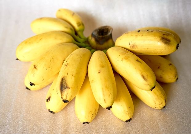 香蕉药物相互作用