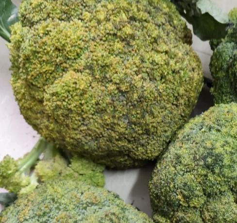 綠花椰菜變質跡象
