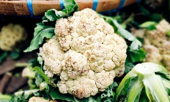 白花椰菜變色原因