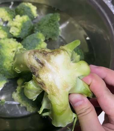 花椰菜保存方法