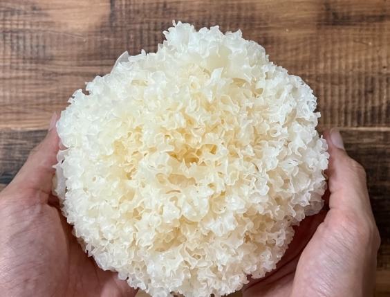 白木耳 糖尿病 可以吃吗