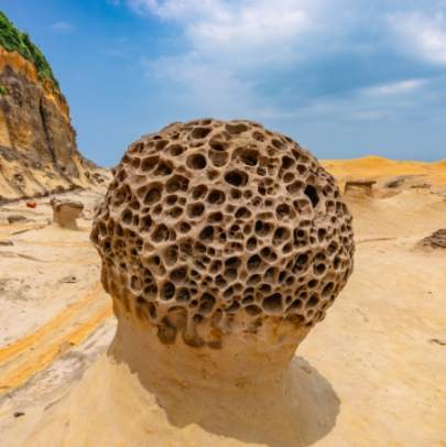 野柳地質公園公車