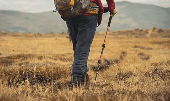 紐西蘭旅遊申報
