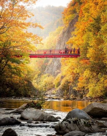 定山溪賞楓季節