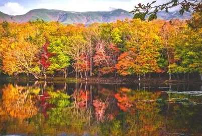 北海道紅葉景點